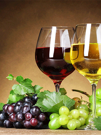 Tratament Vie si struguri